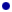 capbul2d.gif (95 bytes)